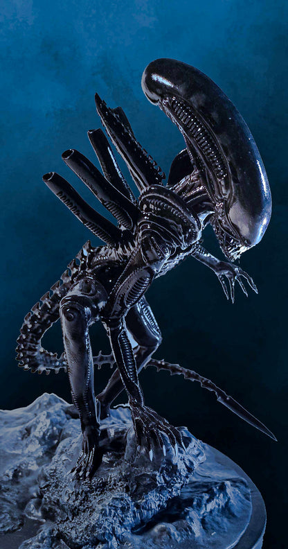 Xenomorph