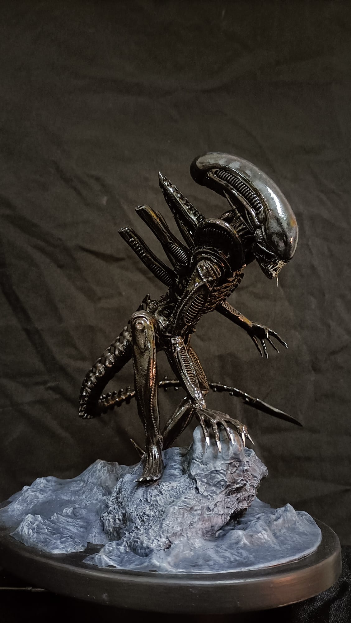 Xenomorph