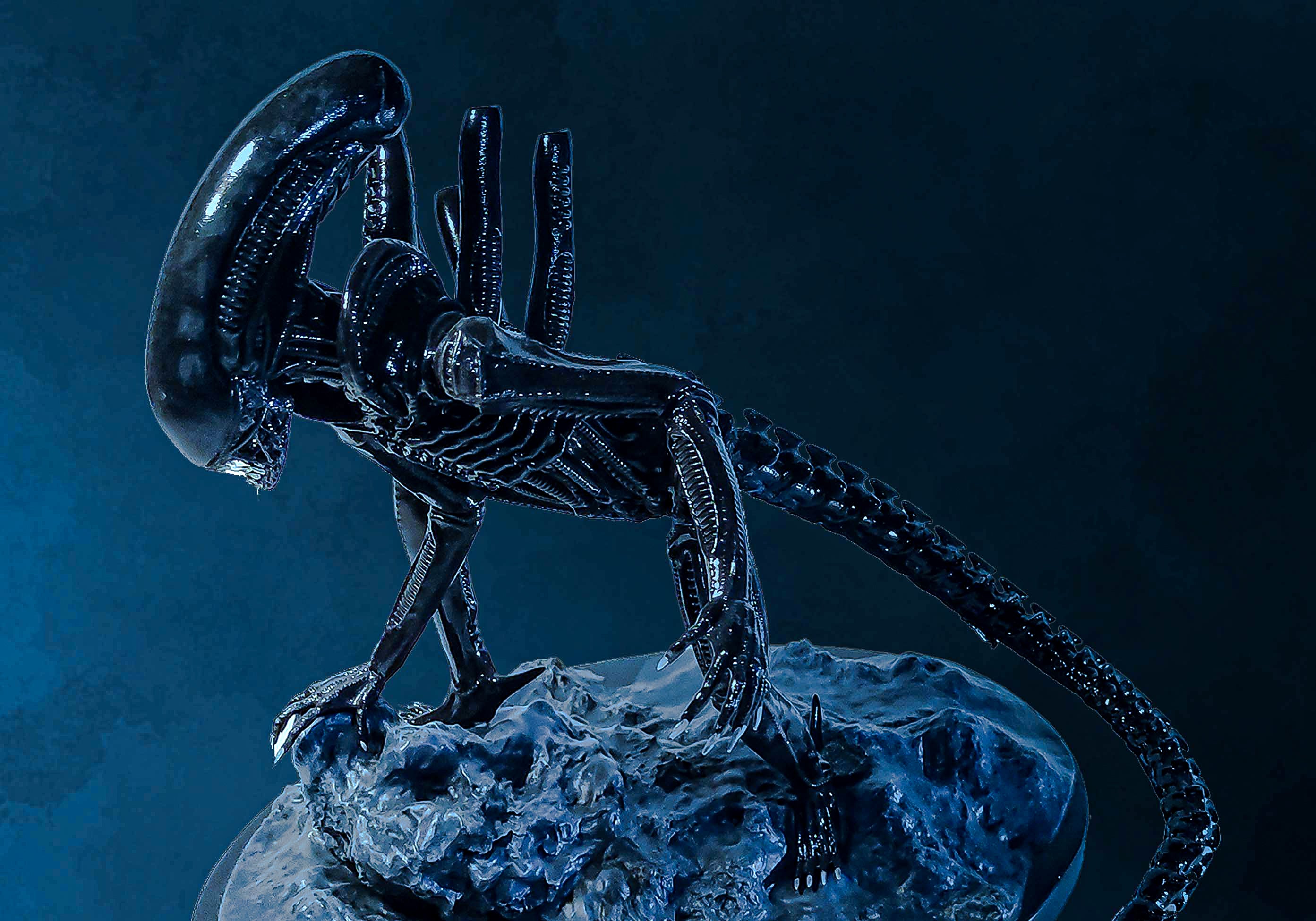 Xenomorph