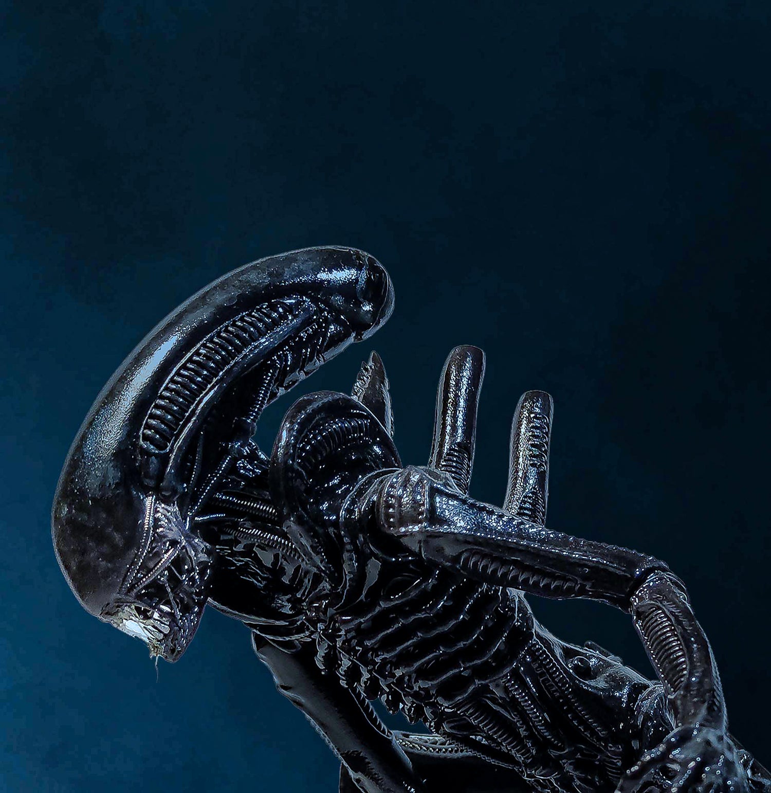 Xenomorph