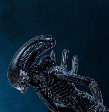 Xenomorph